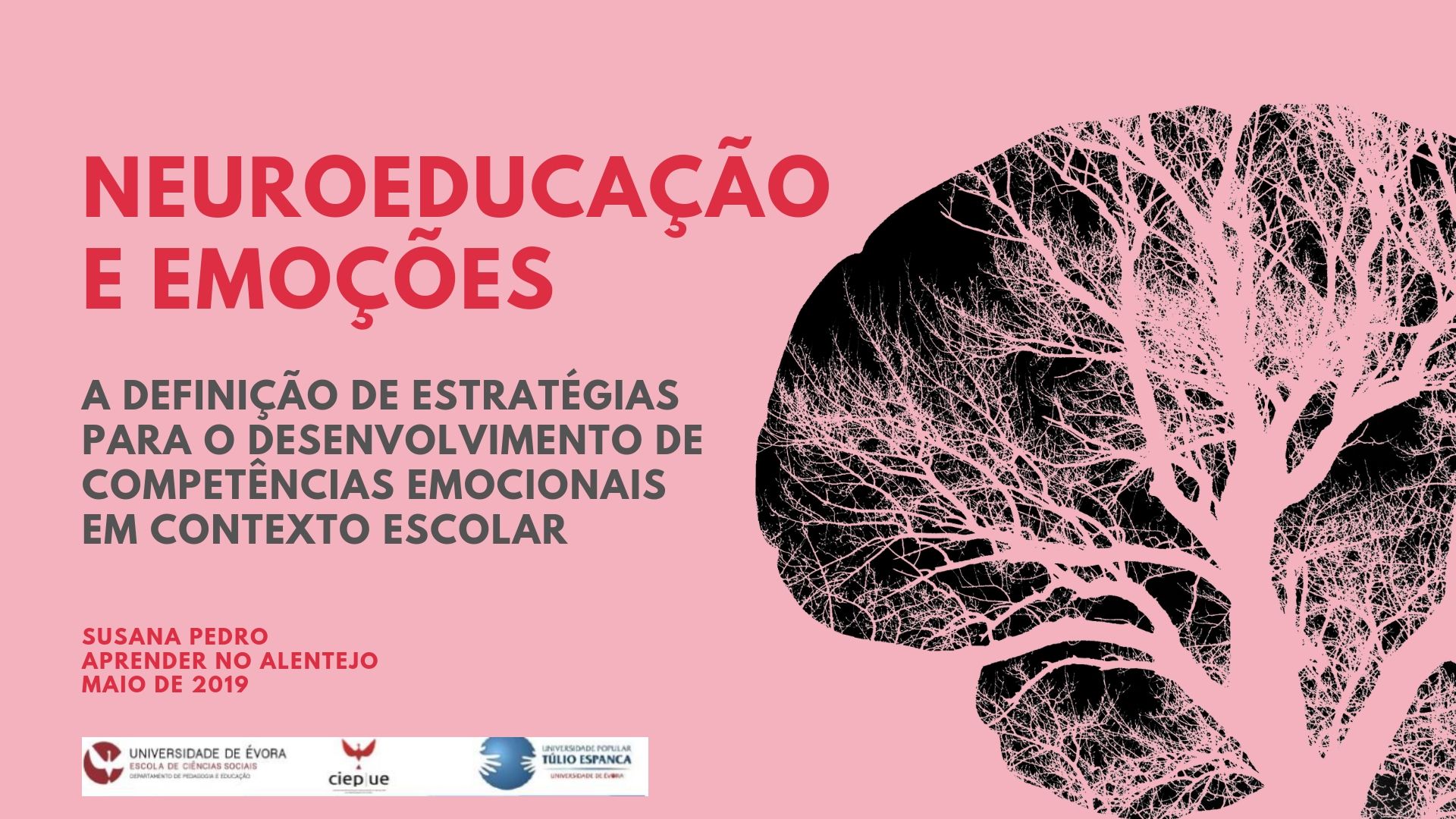 Neuroeducação (1)