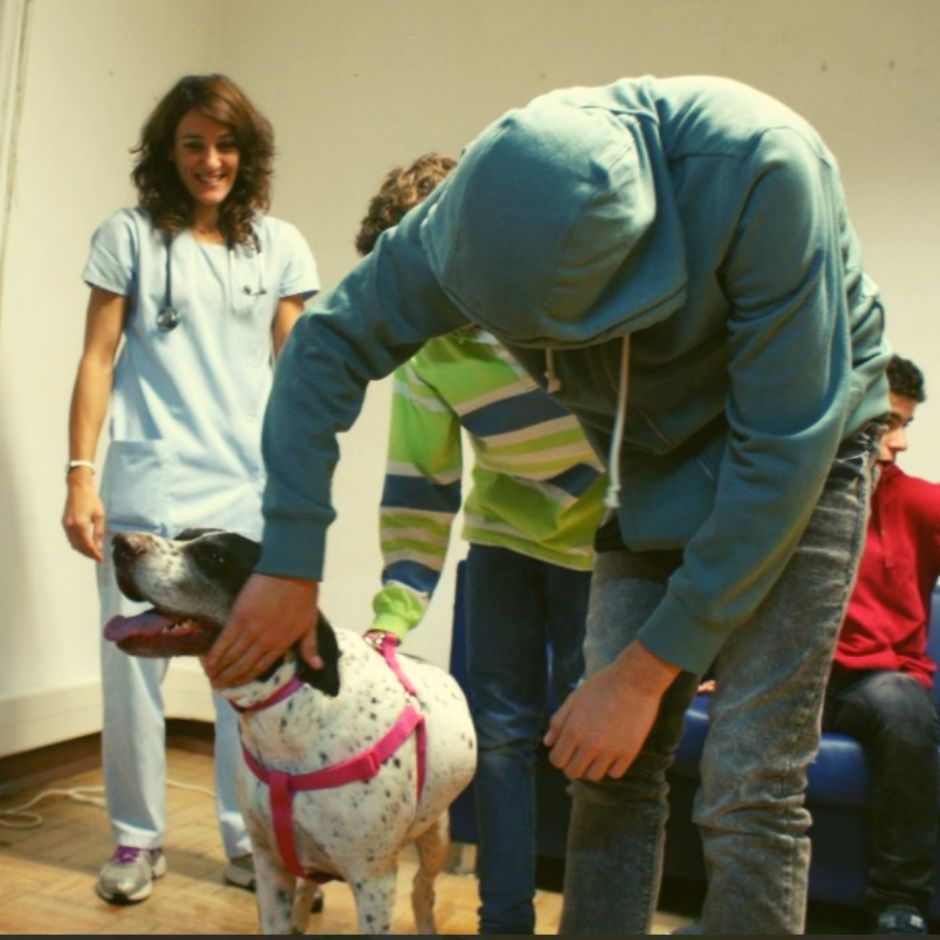 Pequenos Corações Gigantes em instituições de&nbsp;acolhimento